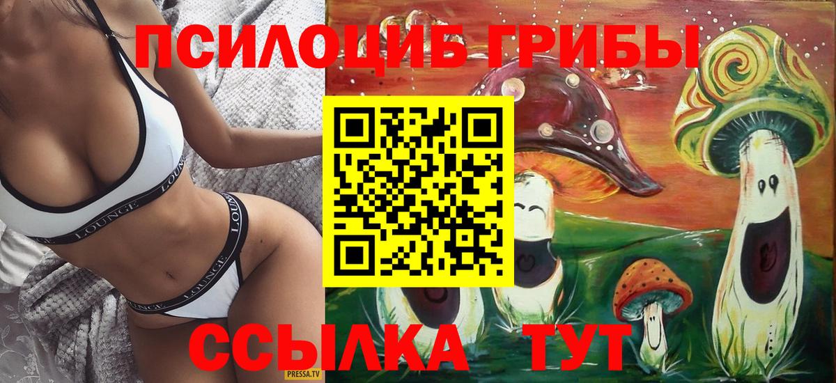 Псилоцибиновые грибы Psilocybe Мелеуз